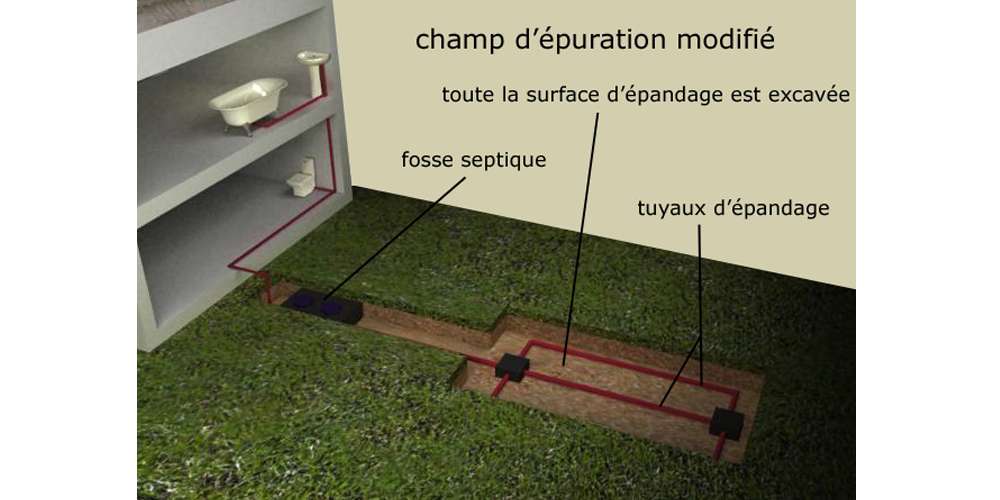 Champ d'épuration modifié