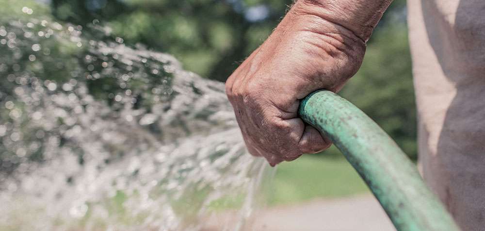 La pelouse écologique économise de l'eau