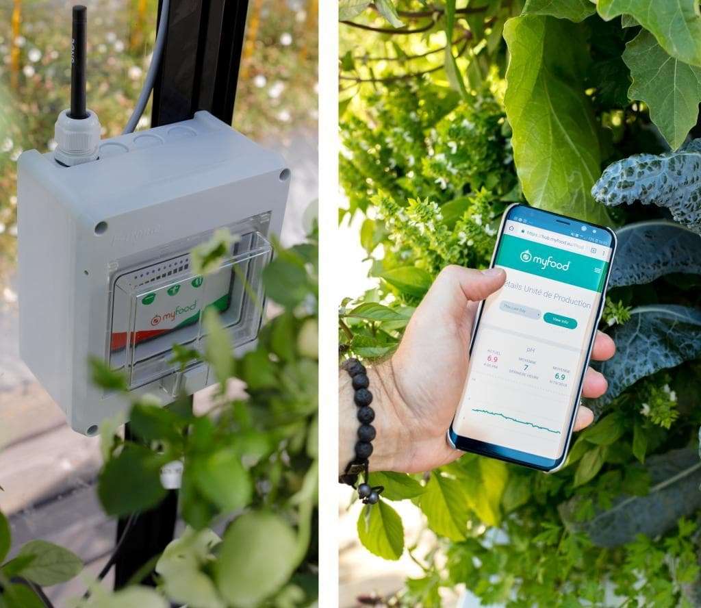 Serre connectée aquaponie : une serre autonome en permaculture