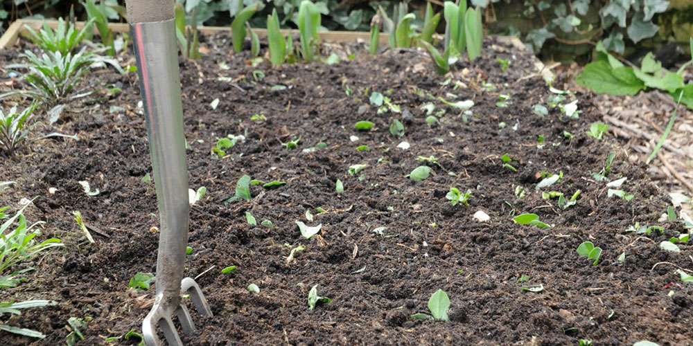 Les végétaux sont enfouis pour nourrir le sol