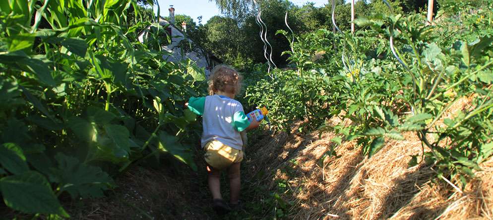 Les buttes autofertiles, pour un jardin potager écologique.