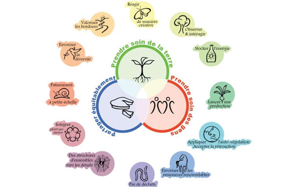 Fleur des 12 principes de la permaculture