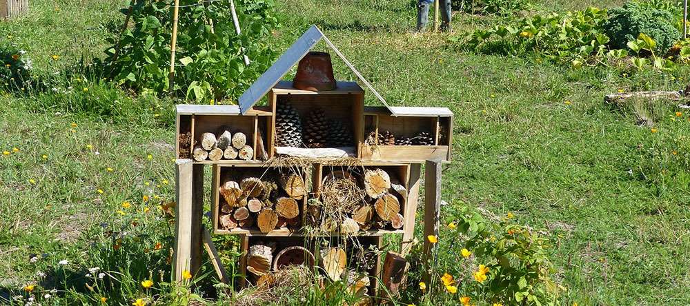 Un hôtel à insectes fait maison