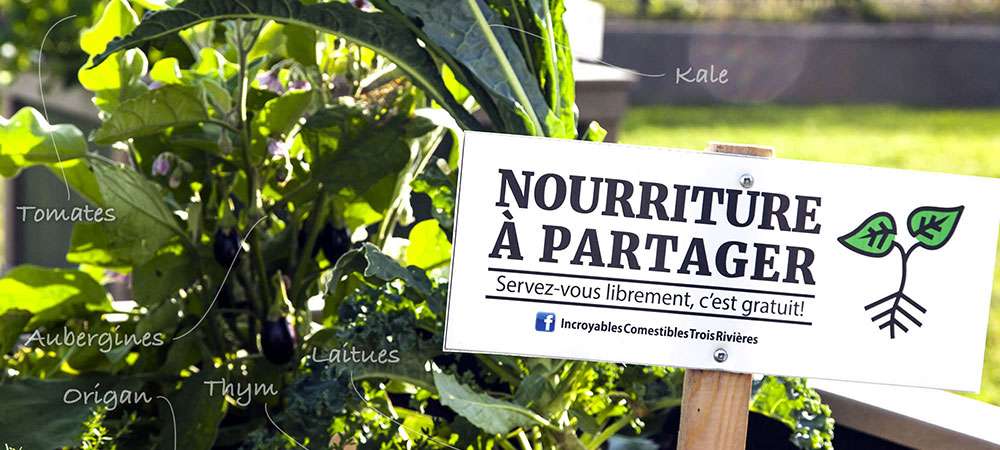 Des légumes à partager
