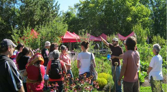 La formation en permaculture avec Wen Rolland