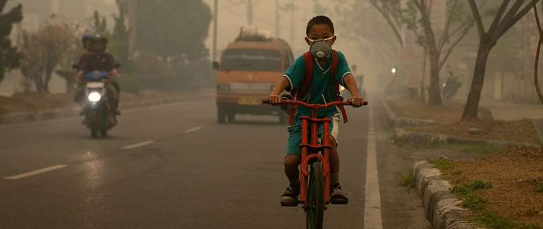 Palangka, Raya, Kalimantan, Indonesia. Crédit photo : Aulia Erlangga
