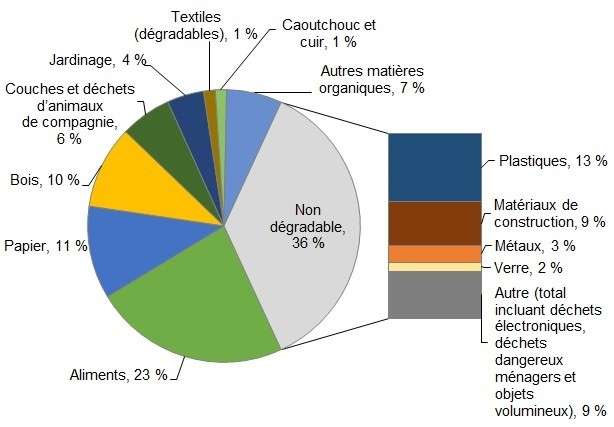 Les déchets qui peuvent aller au compost 