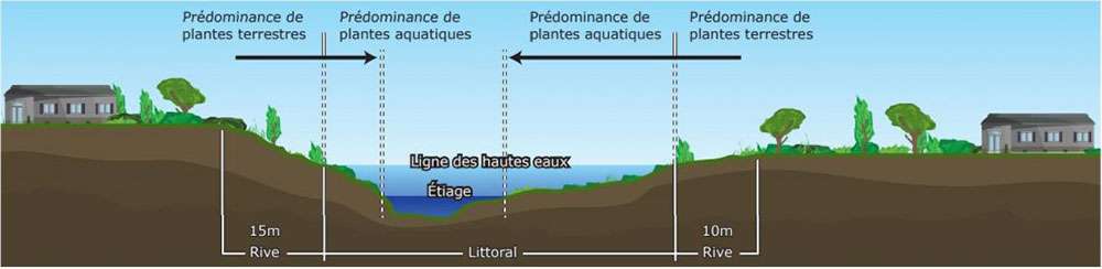 L'aménagement du terrain au bord de l'eau 