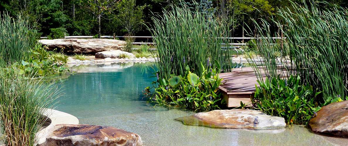 Le bassin de baignade comme piscine naturelle