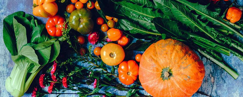 Une belle récolte de légumes du Québec