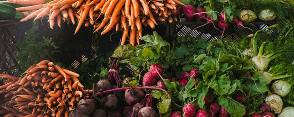 Légumes racines à semer au jardin