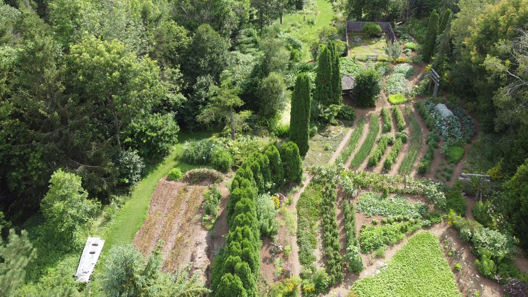 Récolte et conservation