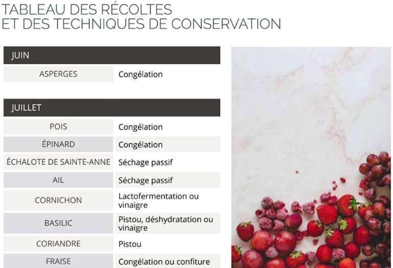 Accès a vie calendrier des recoltes sceances de questions techniques de conservation des aliments