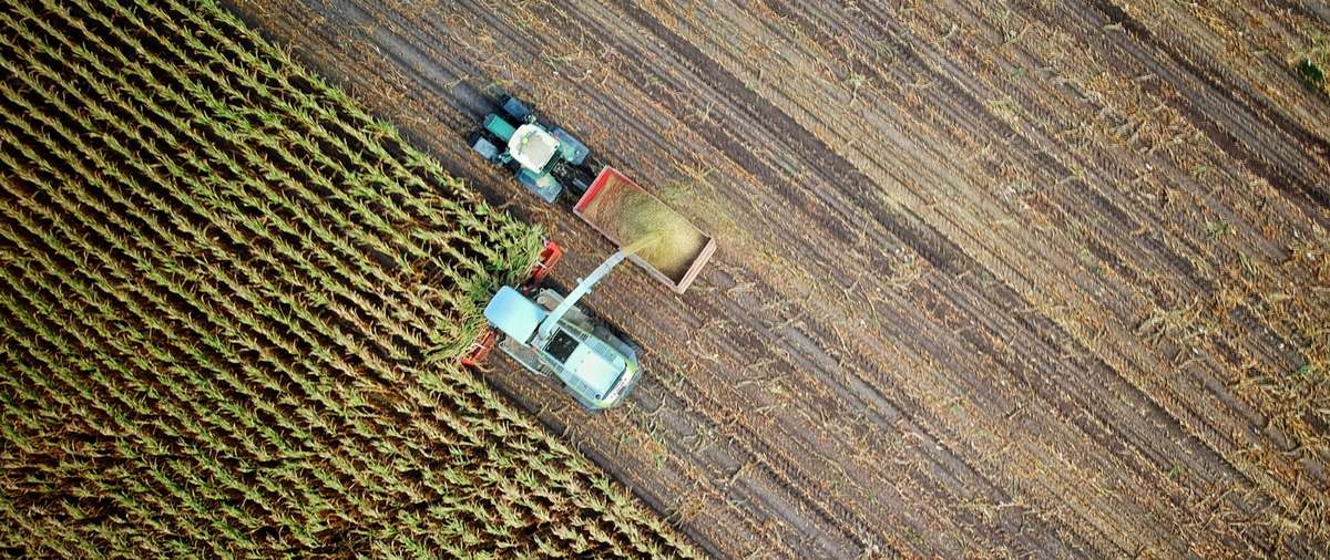 L'agriculture de masse a de gros impacts environnementaux