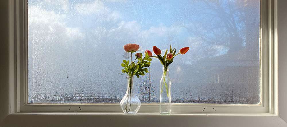 La condensation sur les fenêtres - Pourquoi est-ce important 