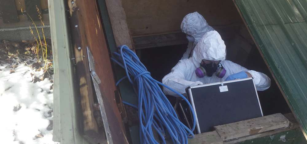 La décontamination 