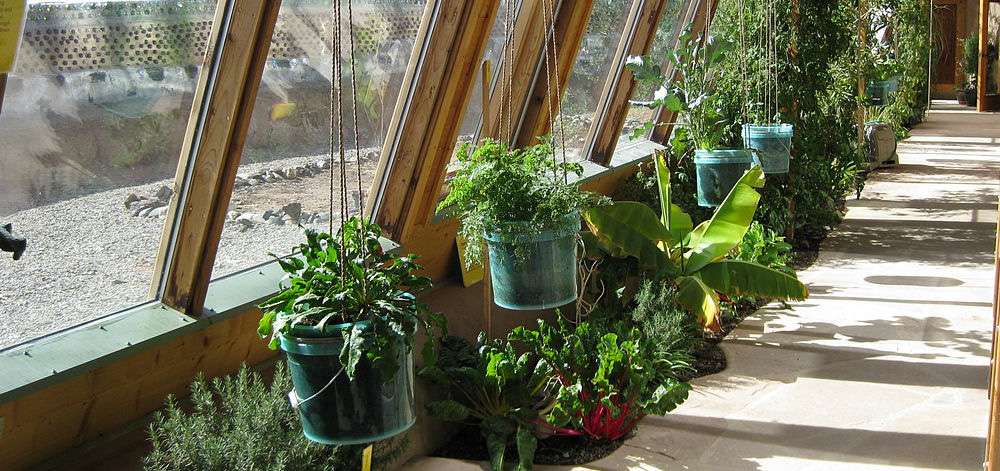 La production alimentaire dans intérieur dans un earthship