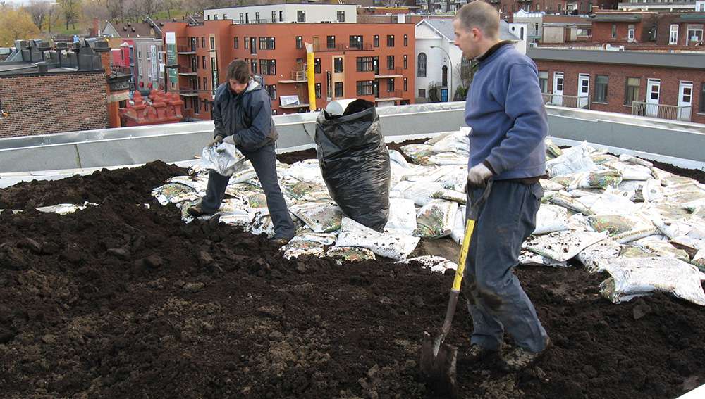 L'installation du toît végétal