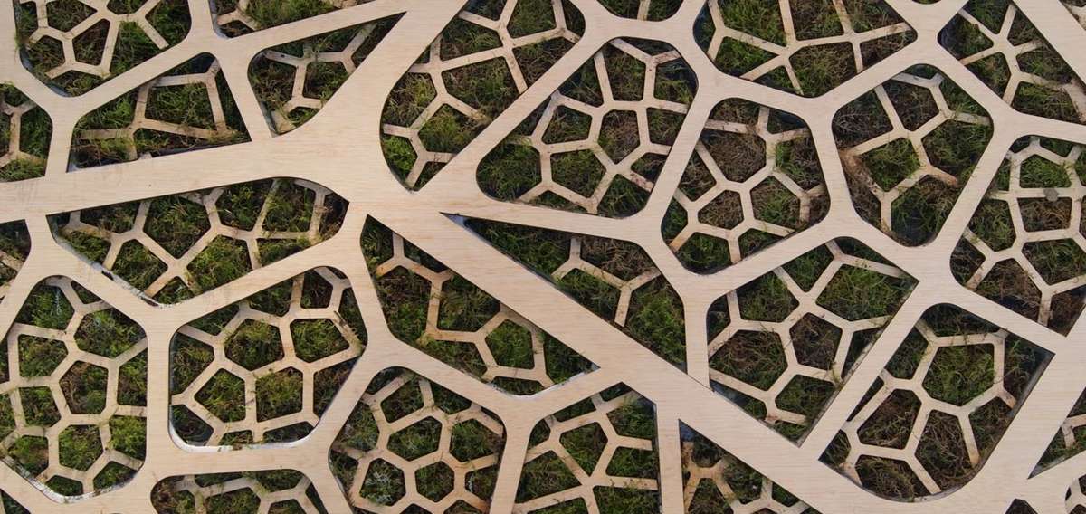 Les panneaux solaires bio-photovoltaïque (BPV) en détail 