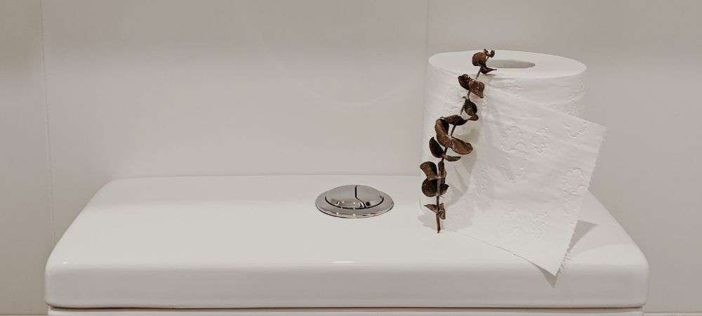 toilette à double chasse
