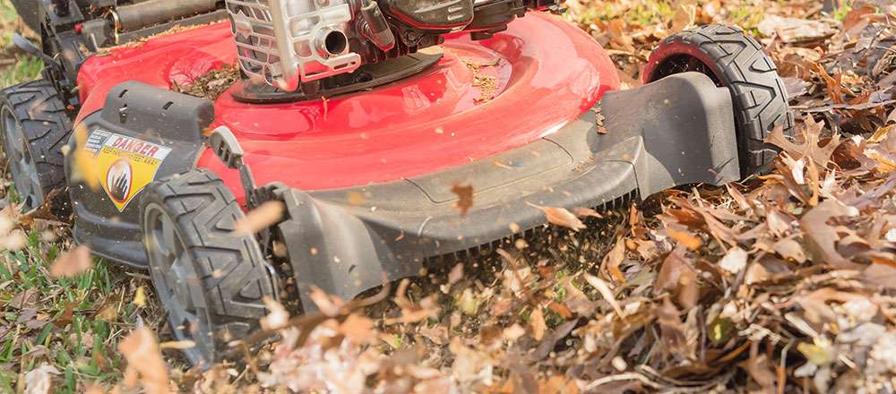 tondre les d'automne feuilles pour les déchiqueter