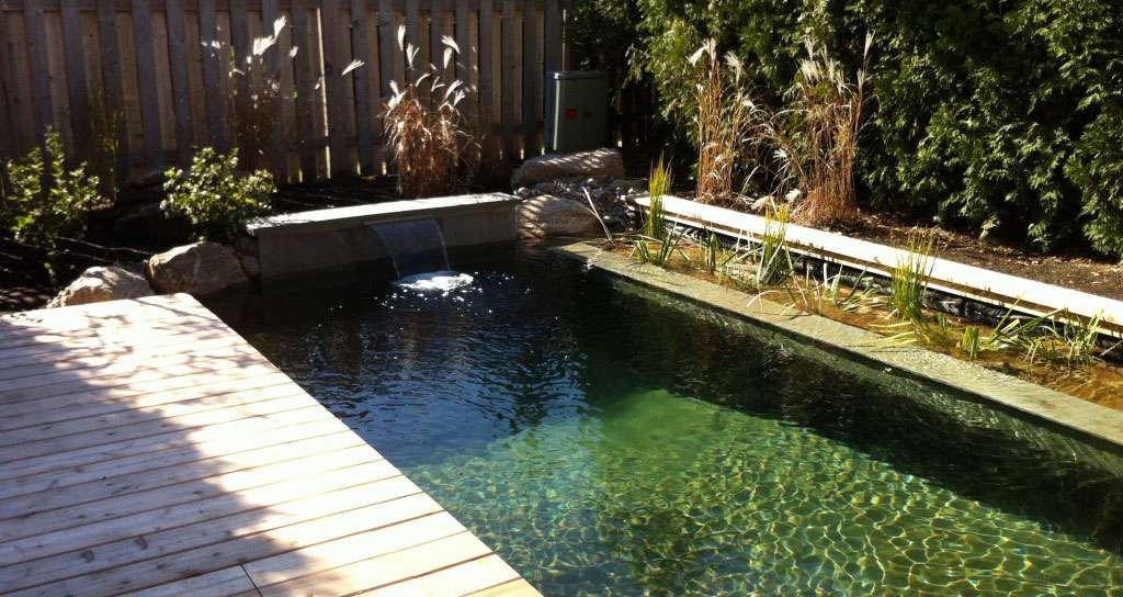 Étang de baignade ou piscine naturelle