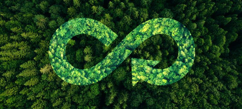 Économie circulaire de ressources naturelles
