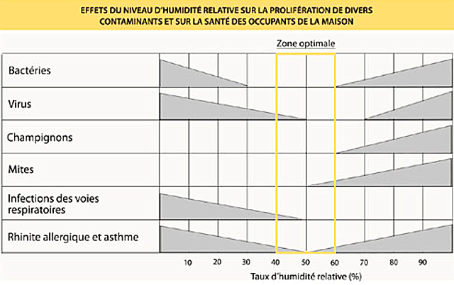 Effets indirects de l’humidité sur la santé, d’après Arundel et al., 1986