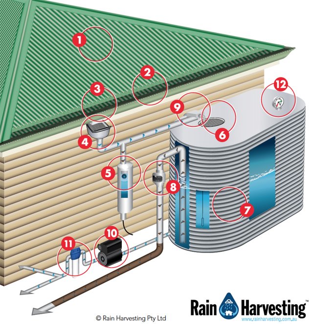Rain harvesting system