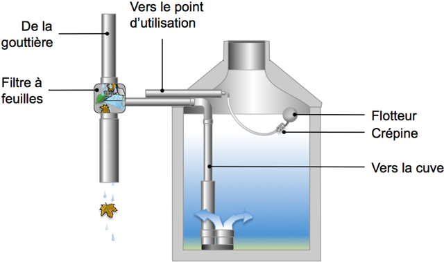 Système récupération d'eau avec filtre à feuilles