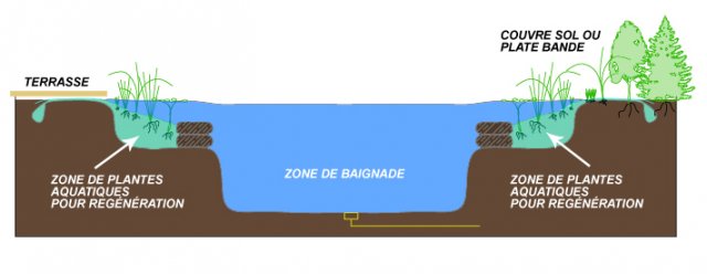 Fonctionnement et zones d'une piscine naturelle