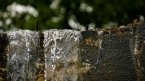 Gestion optimale de l'eau