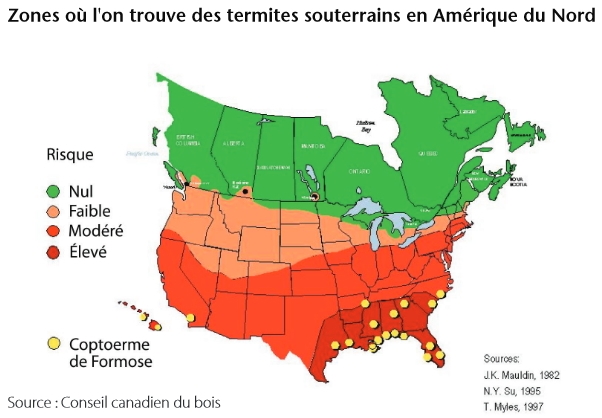 zones d'infestation par les termites au Canada